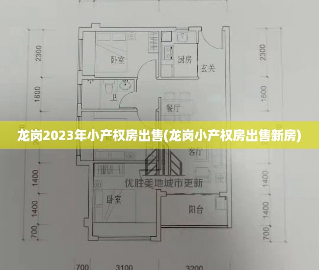 龙岗2023年小产权房出售(龙岗小产权房出售新房) 龙岗2023年小产权房出售(龙岗小产权房出售新房)