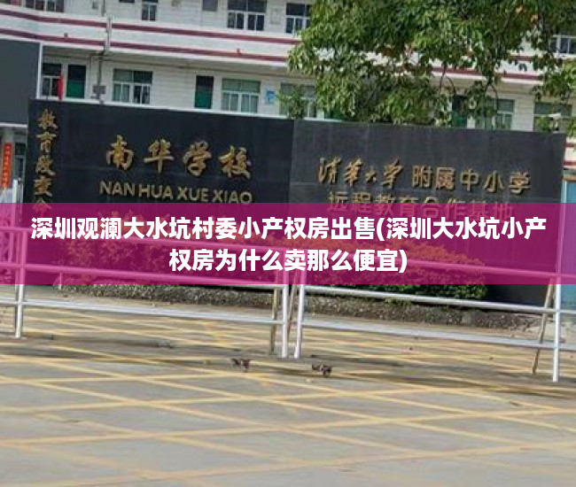 深圳观澜大水坑村委小产权房出售(深圳大水坑小产权房为什么卖那么便宜)
