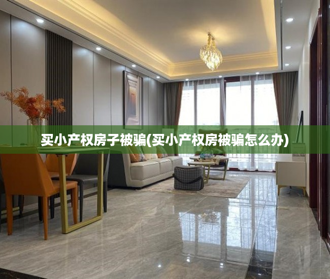 买小产权房子被骗(买小产权房被骗怎么办)