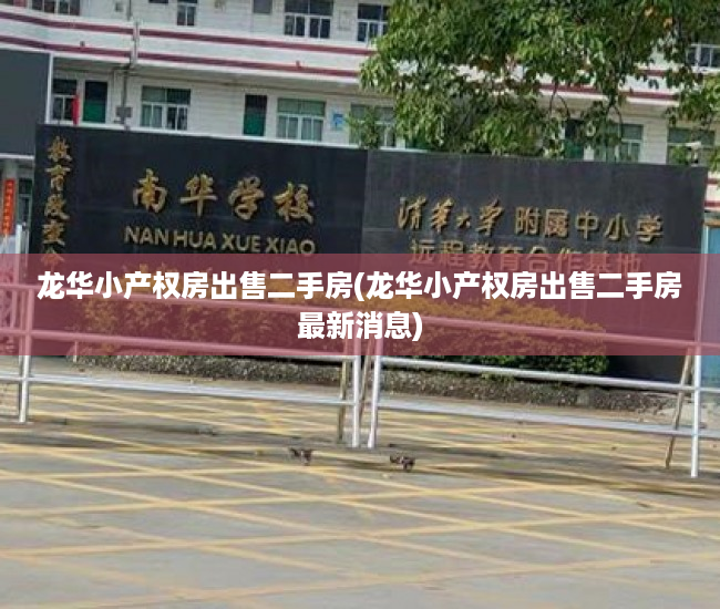 龙华小产权房出售二手房(龙华小产权房出售二手房最新消息)