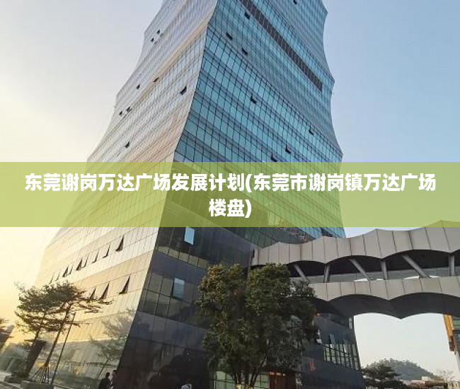 东莞谢岗万达广场发展计划(东莞市谢岗镇万达广场楼盘)