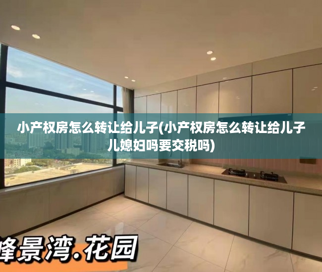 小产权房怎么转让给儿子(小产权房怎么转让给儿子儿媳妇吗要交税吗)