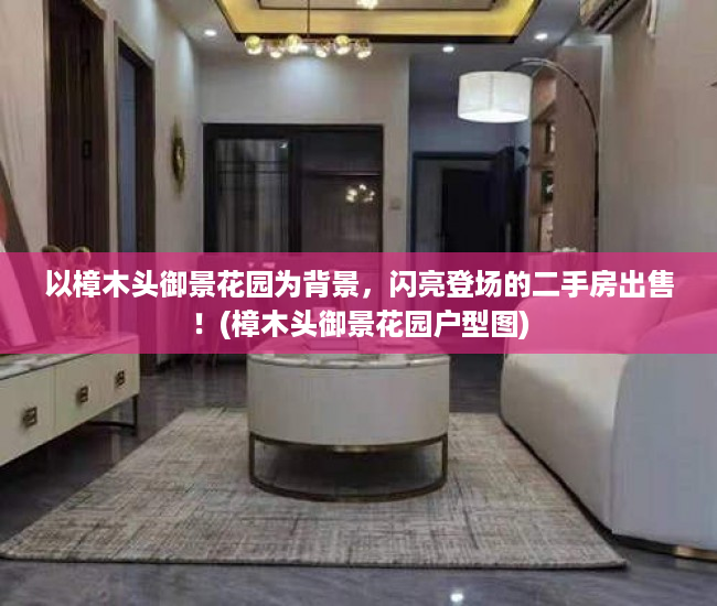 以樟木头御景花园为背景，闪亮登场的二手房出售！(樟木头御景花园户型图)