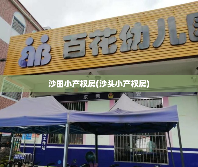 沙田小产权房(沙头小产权房) 沙田小产权房(沙头小产权房)