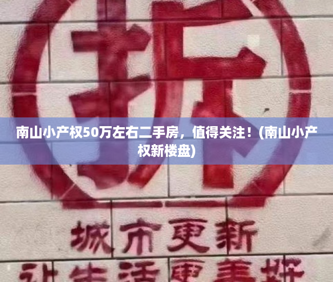 南山小产权50万左右二手房，值得关注！(南山小产权新楼盘)