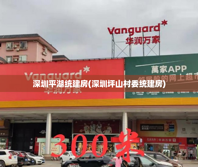 深圳平湖统建房(深圳坪山村委统建房) 深圳平湖统建房(深圳坪山村委统建房)