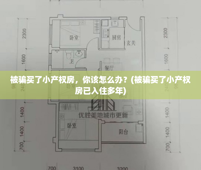 被骗买了小产权房，你该怎么办？(被骗买了小产权房已入住多年)