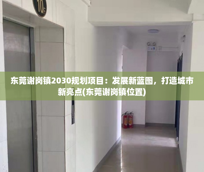 东莞谢岗镇2030规划项目：发展新蓝图，打造城市新亮点(东莞谢岗镇位置)