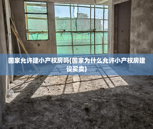 国家允许建小产权房吗(国家为什么允许小产权房建设买卖) 国家允许建小产权房吗(国家为什么允许小产权房建设买卖)