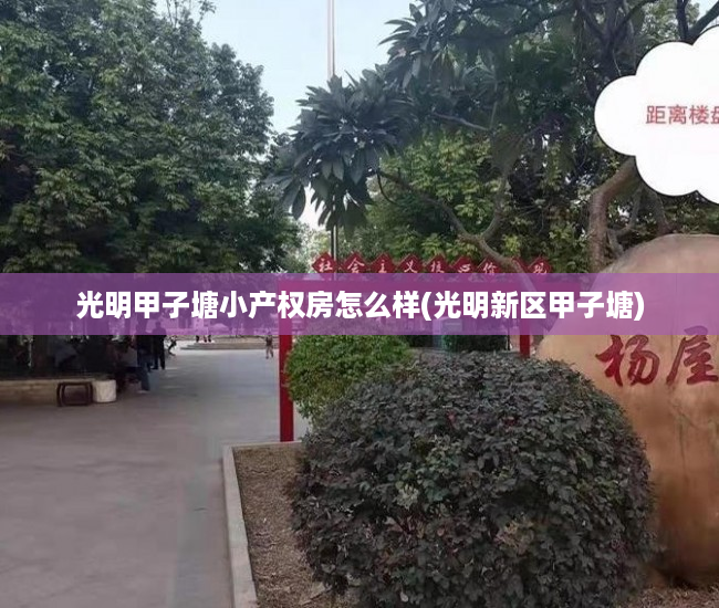 光明甲子塘小产权房怎么样(光明新区甲子塘)