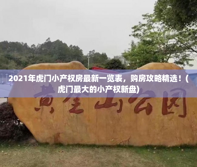 2021年虎门小产权房最新一览表，购房攻略精选！(虎门最大的小产权新盘)