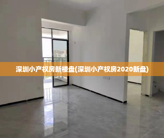 深圳小产权房新楼盘(深圳小产权房2020新盘)