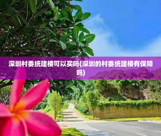 深圳村委统建楼可以买吗(深圳的村委统建楼有保障吗) 深圳村委统建楼可以买吗(深圳的村委统建楼有保障吗)