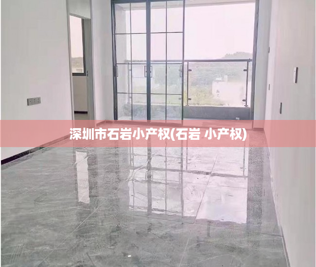 深圳市石岩小产权(石岩 小产权)