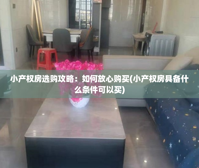 小产权房选购攻略：如何放心购买(小产权房具备什么条件可以买)
