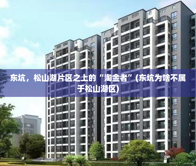 东坑，松山湖片区之上的“淘金者”(东坑为啥不属于松山湖区)