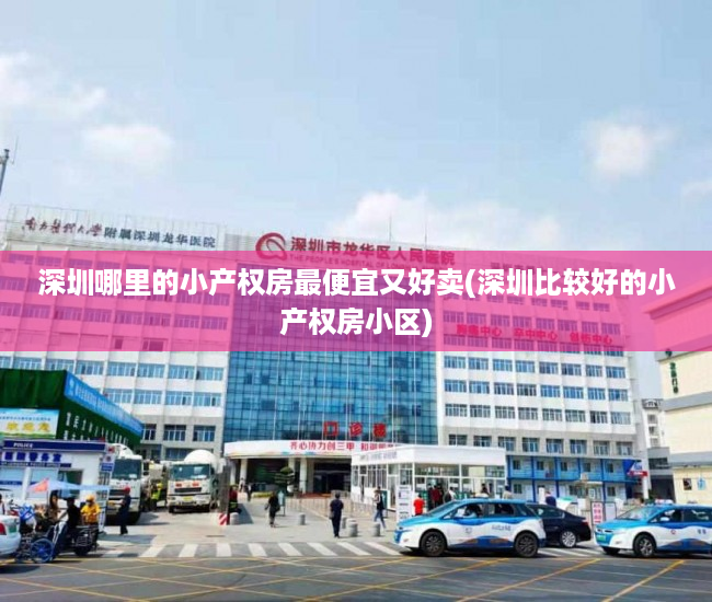 深圳哪里的小产权房最便宜又好卖(深圳比较好的小产权房小区)
