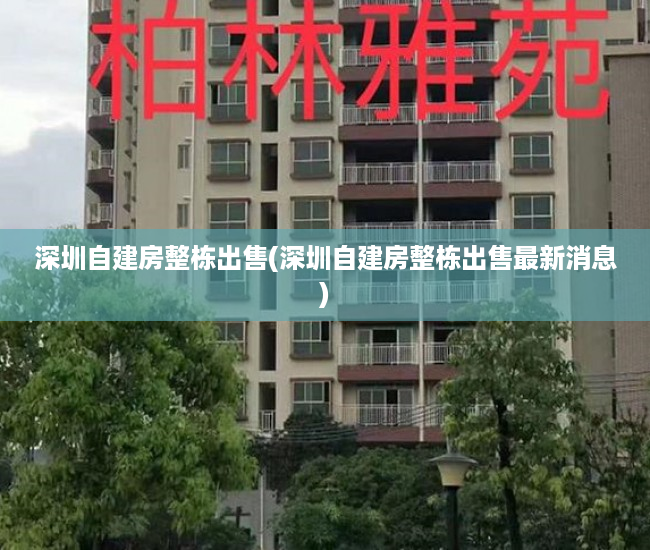深圳自建房整栋出售(深圳自建房整栋出售最新消息)