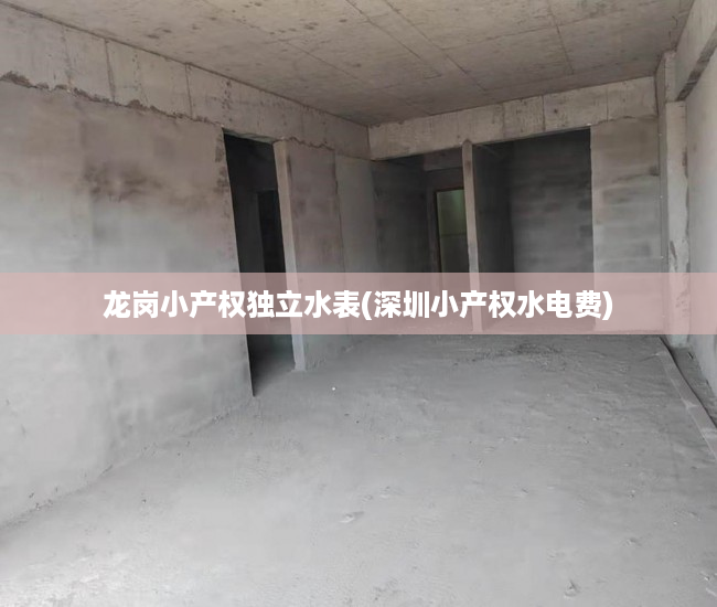 龙岗小产权独立水表(深圳小产权水电费) 龙岗小产权独立水表(深圳小产权水电费)