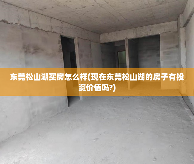 东莞松山湖买房怎么样(现在东莞松山湖的房子有投资价值吗?) 东莞松山湖买房怎么样(现在东莞松山湖的房子有投资价值吗?)