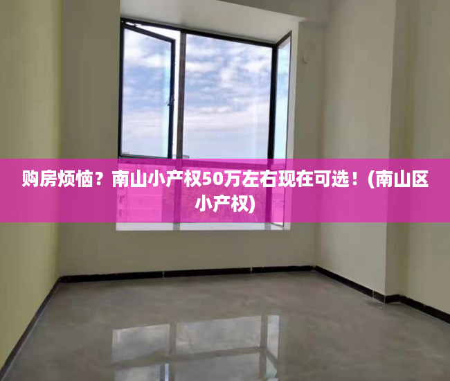 购房烦恼？南山小产权50万左右现在可选！(南山区小产权)