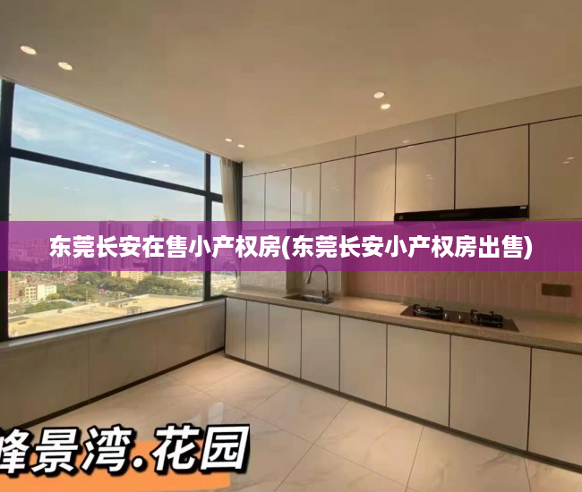 东莞长安在售小产权房(东莞长安小产权房出售) 东莞长安在售小产权房(东莞长安小产权房出售)