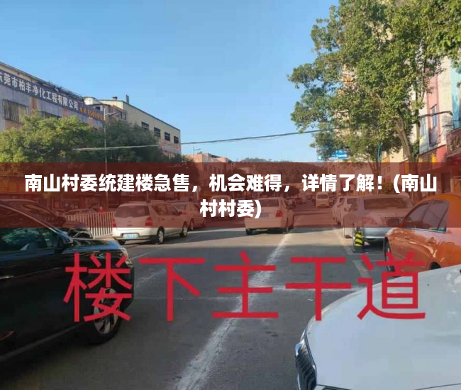 南山村委统建楼急售，机会难得，详情了解！(南山村村委)
