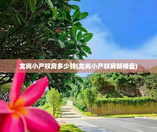 龙岗小产权房多少钱(龙岗小产权房新楼盘) 龙岗小产权房多少钱(龙岗小产权房新楼盘)