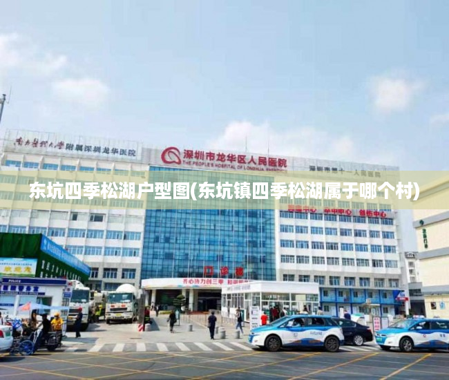 东坑四季松湖户型图(东坑镇四季松湖属于哪个村)