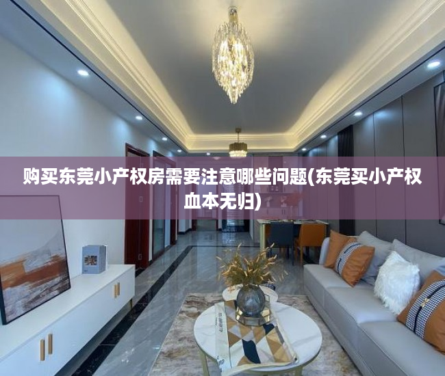 购买东莞小产权房需要注意哪些问题(东莞买小产权血本无归)
