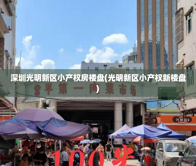 深圳光明新区小产权房楼盘(光明新区小产权新楼盘) 深圳光明新区小产权房楼盘(光明新区小产权新楼盘)