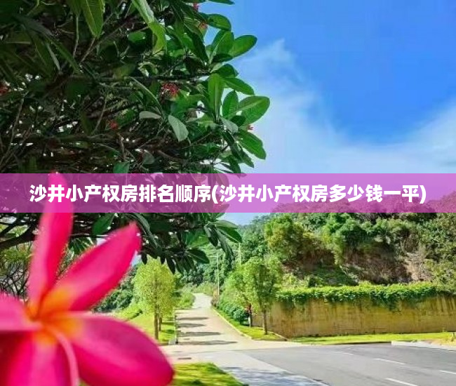 沙井小产权房排名顺序(沙井小产权房多少钱一平) 沙井小产权房排名顺序(沙井小产权房多少钱一平)