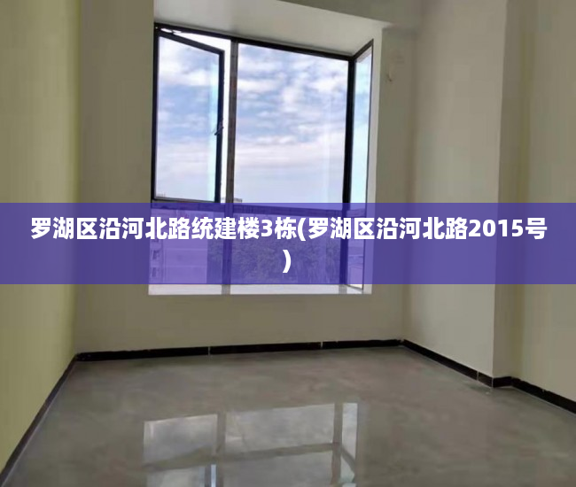 罗湖区沿河北路统建楼3栋(罗湖区沿河北路2015号) 罗湖区沿河北路统建楼3栋(罗湖区沿河北路2015号)