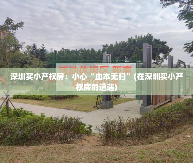 深圳买小产权房：小心“血本无归”(在深圳买小产权房的遭遇)