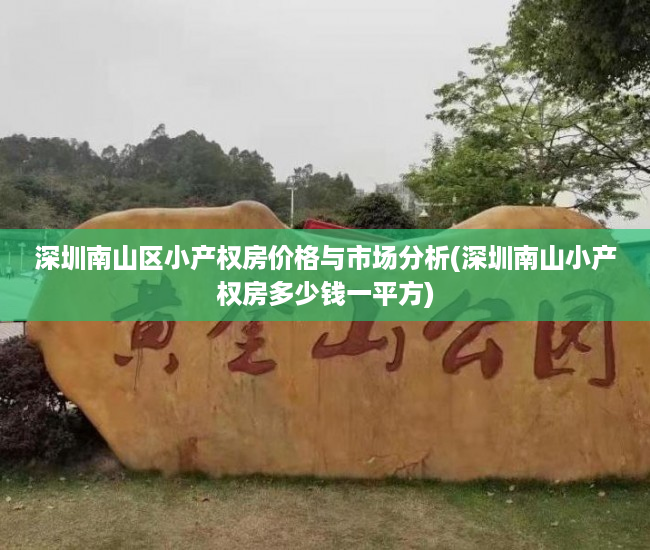深圳南山区小产权房价格与市场分析(深圳南山小产权房多少钱一平方)