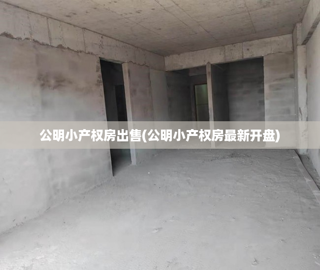 公明小产权房出售(公明小产权房最新开盘) 公明小产权房出售(公明小产权房最新开盘)