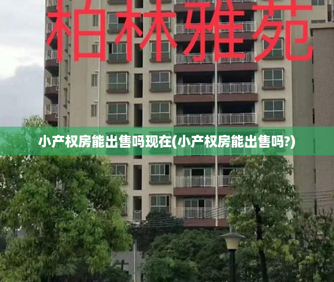 小产权房能出售吗现在(小产权房能出售吗?) 小产权房能出售吗现在(小产权房能出售吗?)