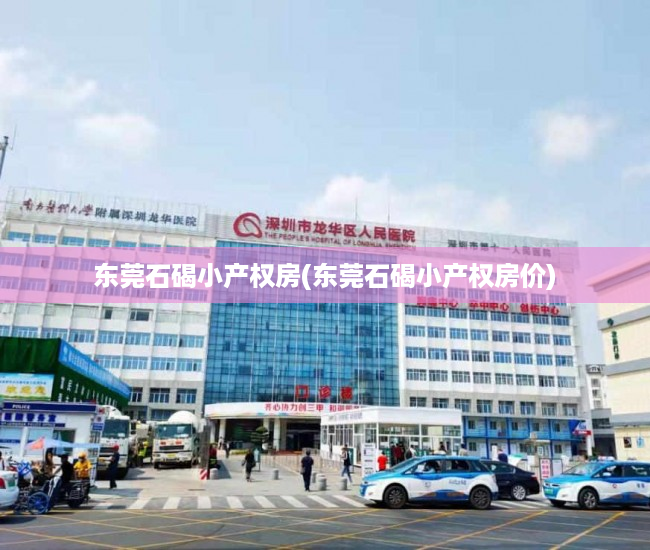东莞石碣小产权房(东莞石碣小产权房价) 东莞石碣小产权房(东莞石碣小产权房价)