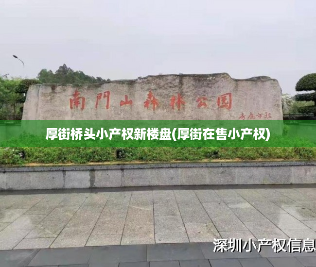 厚街桥头小产权新楼盘(厚街在售小产权) 厚街桥头小产权新楼盘(厚街在售小产权)