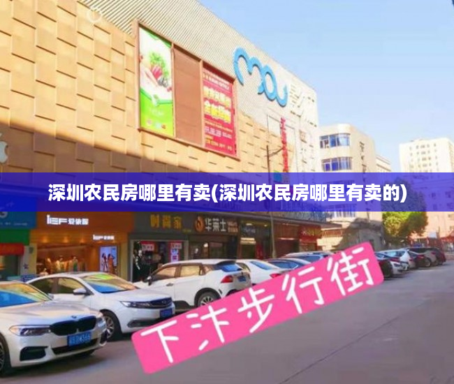 深圳农民房哪里有卖(深圳农民房哪里有卖的)