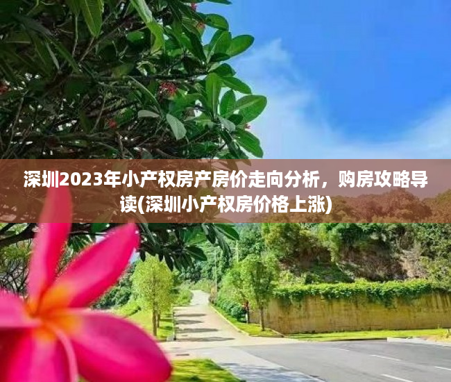 深圳2023年小产权房产房价走向分析，购房攻略导读(深圳小产权房价格上涨)