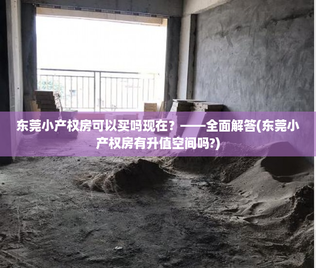 东莞小产权房可以买吗现在？——全面解答(东莞小产权房有升值空间吗?)