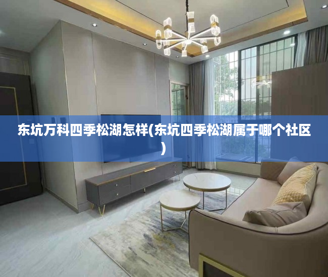 东坑万科四季松湖怎样(东坑四季松湖属于哪个社区)