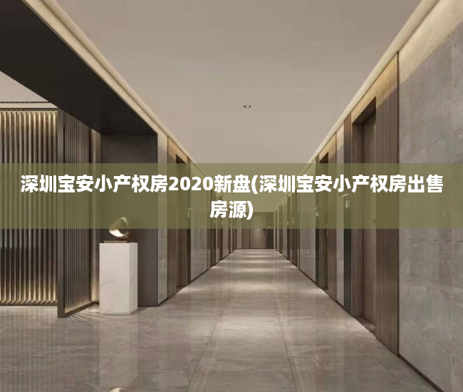 深圳宝安小产权房2020新盘(深圳宝安小产权房出售房源)