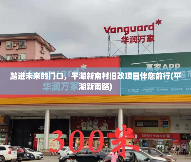 踏进未来的门口，平湖新南村旧改项目伴您前行(平湖新南路)