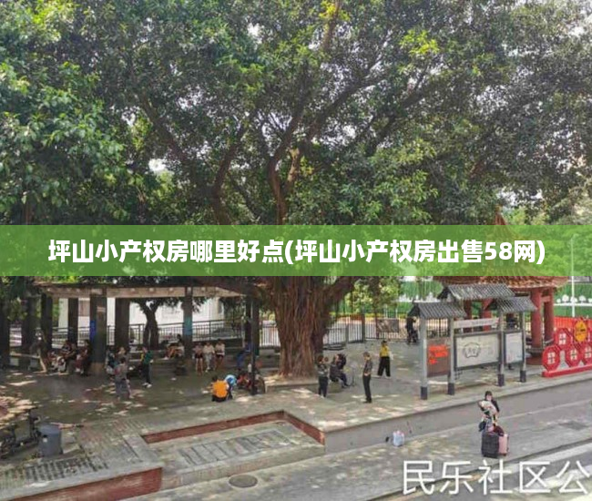 坪山小产权房哪里好点(坪山小产权房出售58网) 坪山小产权房哪里好点(坪山小产权房出售58网)