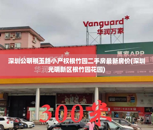 深圳公明根玉路小产权根竹园二手房最新房价(深圳光明新区根竹园花园)