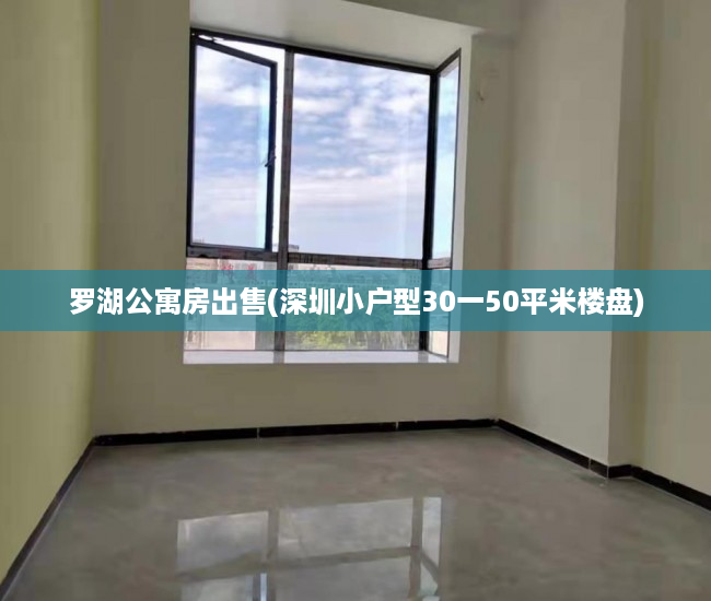 罗湖公寓房出售(深圳小户型30一50平米楼盘) 罗湖公寓房出售(深圳小户型30一50平米楼盘)