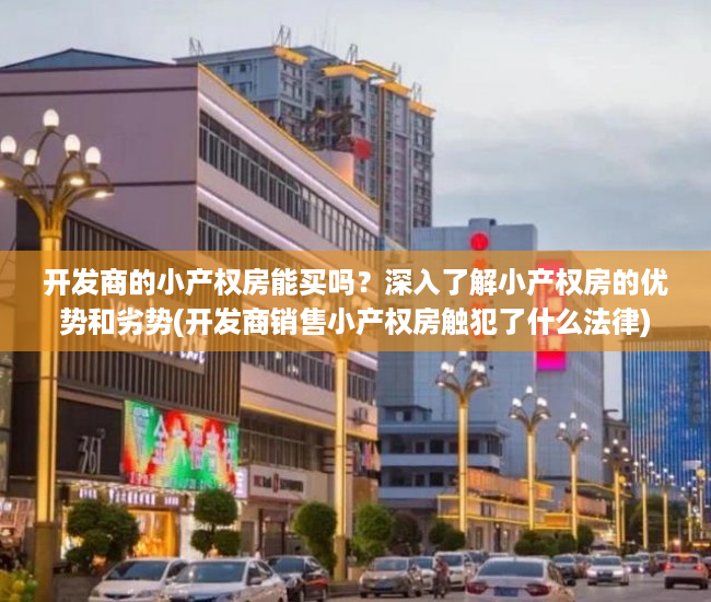开发商的小产权房能买吗？深入了解小产权房的优势和劣势(开发商销售小产权房触犯了什么法律)