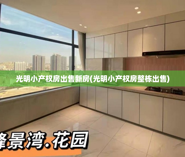 光明小产权房出售新房(光明小产权房整栋出售) 光明小产权房出售新房(光明小产权房整栋出售)